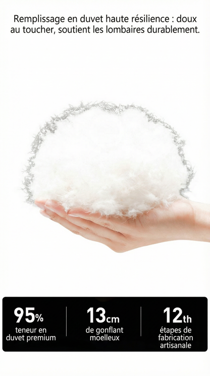 RouteZen® Coussin Ergonomique